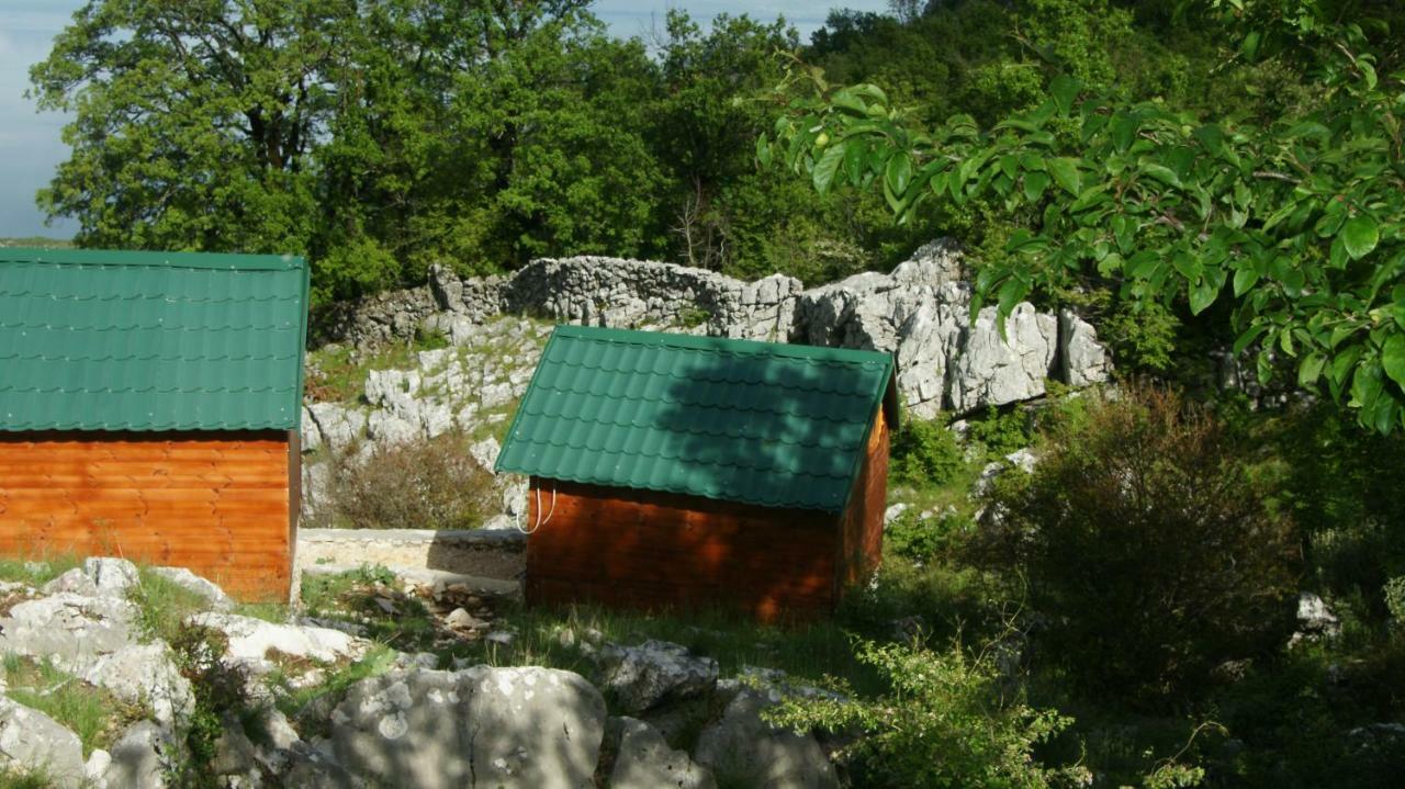 Viewpoint Brvnara *